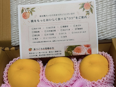 大人気の黄桃！ 【限定100箱】 8月下旬～9月中旬頃発送 訳あり品 黄桃