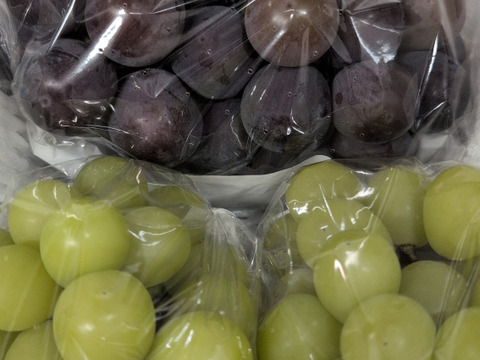 訳あり特価！！　大人気シャイン1房＆ピオーネ2房のぶどう詰め合わせ　２kg☆