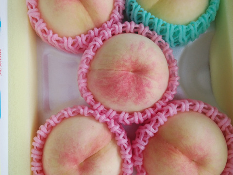 【2025年先行予約】　
　清水白桃/白鳳  【ご家庭用】【朝どれ】【樹熟🍑】2㎏化粧箱でお届け！