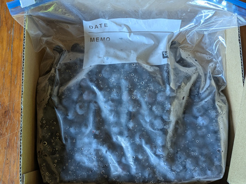 令和7年収穫　北海道産ブルーベリー　【冷凍1kg】