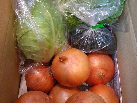 大好評，地層が違う淡路島、大玉ターザン(風袋込み3キロ)