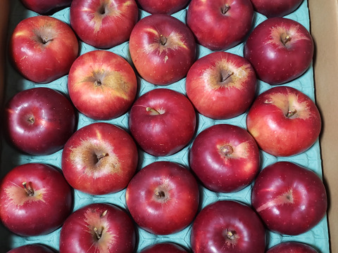 紅玉りんご　訳あり家庭専用（料理・お菓子加工専用）コース　ご好評販売中！　たくさん使える　4.5キロコース　アップルパイにりんごジャムに最適！！