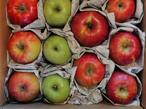 季節のリンゴ食べくらべ　訳あり家庭用（約4.5㎏）10～20玉
サンふじ、ゴールド、グラニーなど、2種類からお届け　
大きさ、形やキズなどで贈答用になれなかったりんごたちをバラ詰めで　信州長野県産