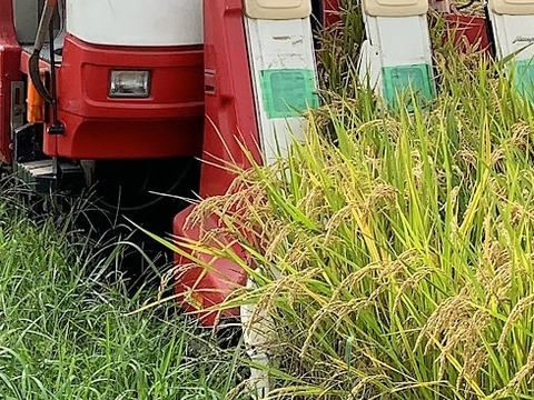 2024年度(令和5年度) 岡山県産ヒノヒカリ 玄米10kg〈米穀用保冷庫保管〉 コシヒカリ 玄米 2等米 5kg 令和4年度 福井県産 農薬節減栽培