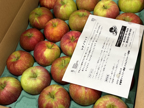 訳ありりんご約19キロを2つ 楽天市場】超訳あり りんごの通販