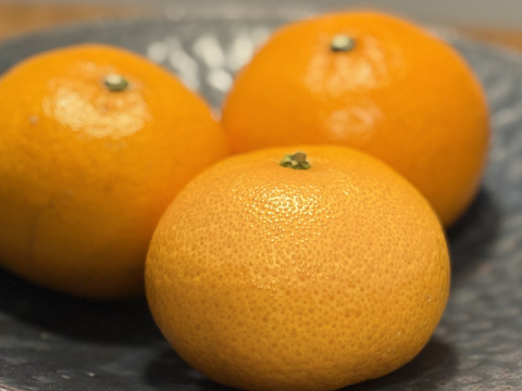 5Kg 実がギュッと！高級品種【せとか】