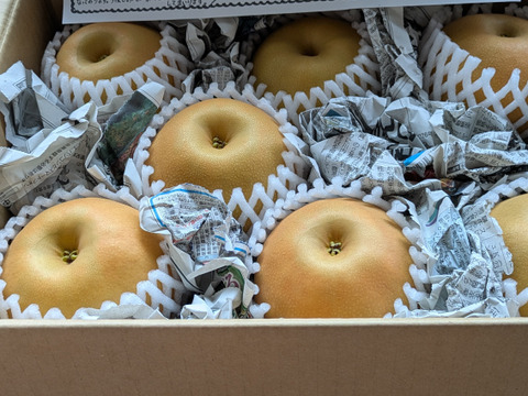 令和9年9月発送【予約】梨 南水 良品 3kg 長野県産 大好評‼️：長野県