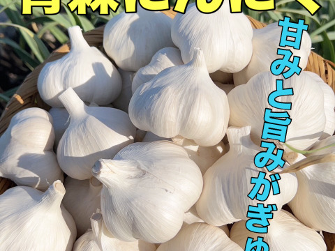 1玉増量中✨買うなら今‼️】青森にんにく小中30玉✨高級品種白玉王🧄月