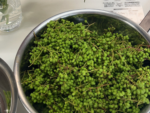 今が旬の実山椒