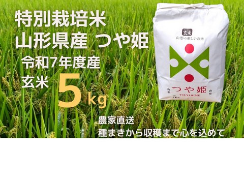 【令和7年新米】特別栽培米つや姫玄米5kg