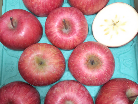 さんフジ 山形 朝日町産 小玉 りんご 約3kg   1級品 贈答用 家庭用 リンゴ