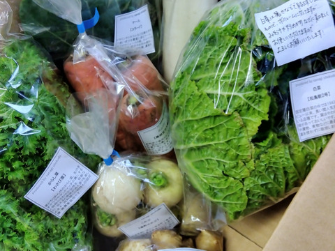 採れたて！季節の野菜セットSサイズ(固定種野菜・農薬不使用)