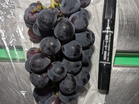極早生ピオーネ2kg