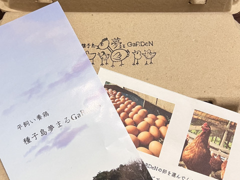 【投薬ゼロ】【安納芋の甘みがギュッ‼️】
っと詰まった夢まる自然卵(10個入り3箱)