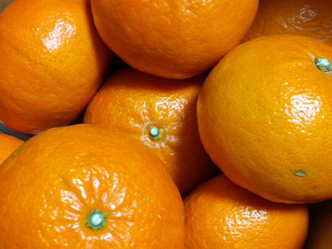 紅ばえ　家庭用Ａ・Ｂミックス　2Ｋ