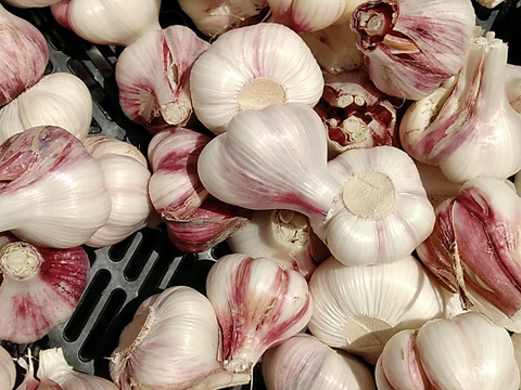 【数量限定】★訳あり★新にんにく2㎏