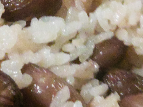 色付きゆで用落花生「はついろ」宅急便コンパクトいっぱい