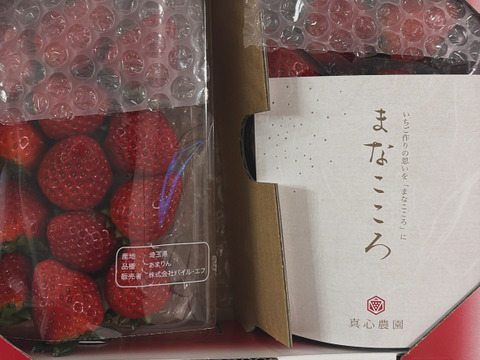 ⑨真心農園　あまりん【葵】化粧箱２パック入り　ご贈答でも好まれます！TCAMAO2P