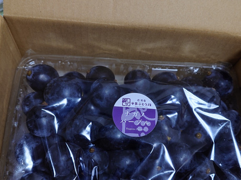 濃厚な味わい！粒売り☆ナガノパープル☆１kgパック　１kg箱