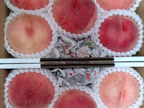 【お届けは8月中旬～】おどろき(おうち用)「驚きの硬さ」１．５ｋｇ×２箱