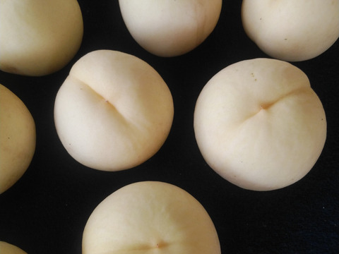 【お試し今年最後】【ご家庭用】【朝どれ】白皇 4玉～6玉　(1.7～1.8㎏)