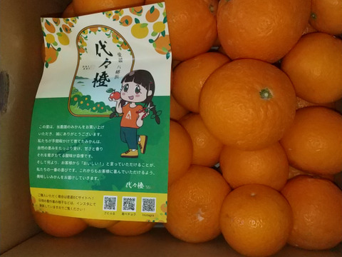 【訳あり】清見10ｋｇ超ジューシー♪　※3月発送