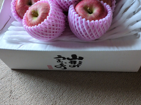 蜜入りりんごの代表格 サンふじ🍎 3キロ (9〜12玉)  ギフト 予約 りんご 農薬節減 さんふじ【11月上旬〜】