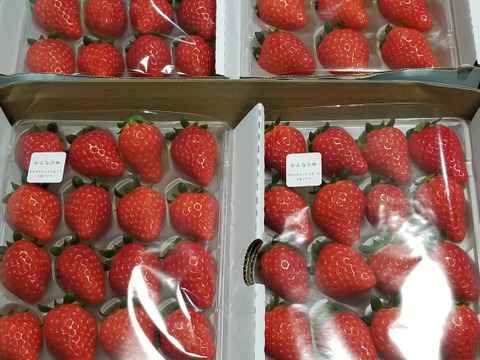 甘い！かんなひめ4P　お得なご家庭用！　230g×4p