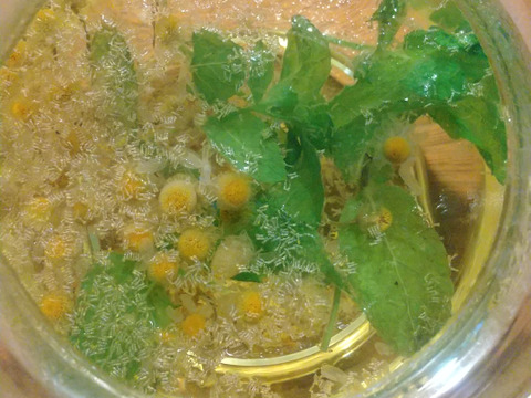 【冬ギフト】体と心に沁み渡る豊かな香りと味わい！ブレンドハーブティーリーフ3種24g（農薬化学肥料不使用）カモミール＆ミント