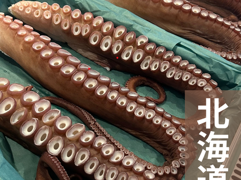 【インパクト大！】北海道白老産　活茹で水だこ（足）1.4㎏1本【1本真空加工】