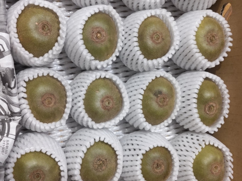 【極甘！】 キウイフルーツ紅妃 中心が紅い珍品種！