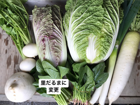 【めぐみ様専用】