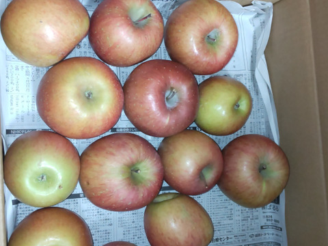【訳あり加工用りんご】　福島県産サンふじ 5ｋｇ　お菓子作り・ジュース・スムージーに