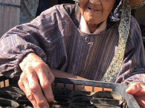 美温活🥕自然栽培のゆず5個つき🍊🍊【数量限定❗❗】子供に食べさせたい（５品目～７品目）😋🍚ばぁばのモノスゴイ野菜🍅🍆🌽✨✨✨