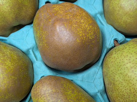 ラ・フランス家庭用