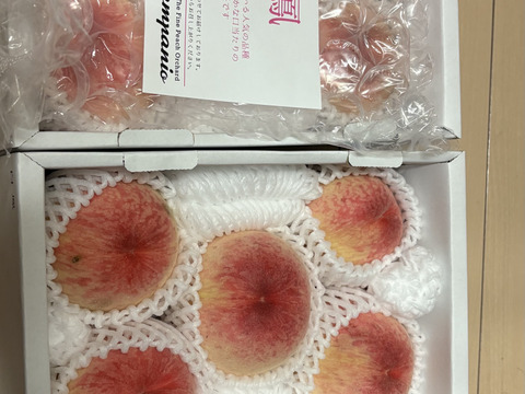 【２箱セット】【家庭用】夏を先取り！６月下旬～７月中旬の岡山の桃　小箱４～６玉