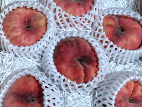 平たい桃、蟠桃　　8個入り