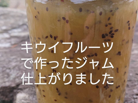 たっぷりサイズ（４００㌘入り）キウイフルーツジャム/あずみ野産・酸味からの甘味の魅力/ヨーグルトとの相性も抜群です。