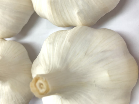 これぞ『夏にピッタリ』ガツンとくるにんにく