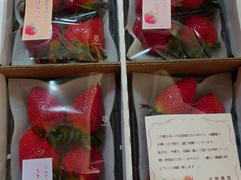 完熟朝採り！いちご3種食べ比べセット 約270g×4P：和歌山県産の