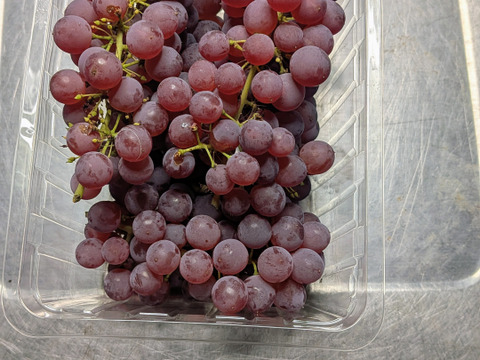 桃、プラム、ブドウ：山形県産のあかつき｜食べチョク｜産地直送(産直