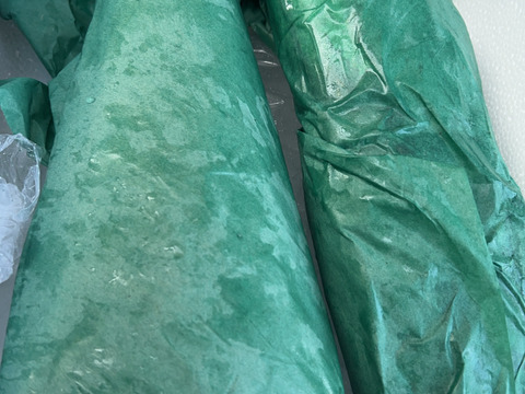 日間賀島産、天然鰆【脂質9%個体】
脂乗り抜群‼︎
わた，エラだし処理発送　2キロ±