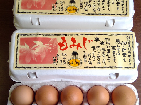 10個入れパック入り国産鶏種もみじの新鮮たまご36個(40個入り4個割れ保障,10個入り4パック)