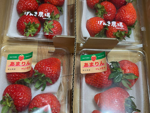 【いちごグランプリ2026　総合部門　銅賞】埼玉県オリジナル品種「あまりん」小粒4パック