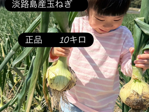 【正品】あまい淡路島玉ねぎ！10キロM～2L