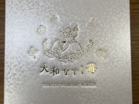 大和なでし苺　古都華　6粒入り　特大　いちご　300g 奈良県　橋本農園　イチゴ