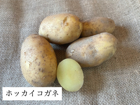 ゴロっと幸せ！食卓の主役★ほくほくジャガイモ！（３〜５種類食べ比べ）1.5kg