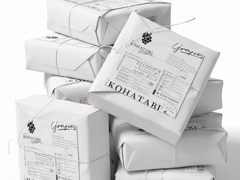 【母の日ギフト】

『冷眠』で旬をそのままに！
晴れの国岡山県産
冷凍ぶどう詰め合わせ120g×4Ｐ