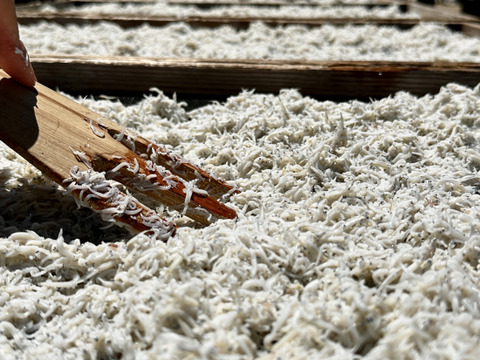 綱元漁師のファミリーパック定期便 ３人前程詰め合わせ