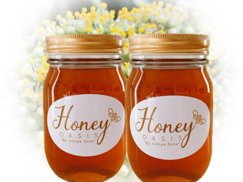 【ケンポナシ･烏山椒】500g×2本セット　国産はちみつ【非加熱･無添加】人気の２種類です